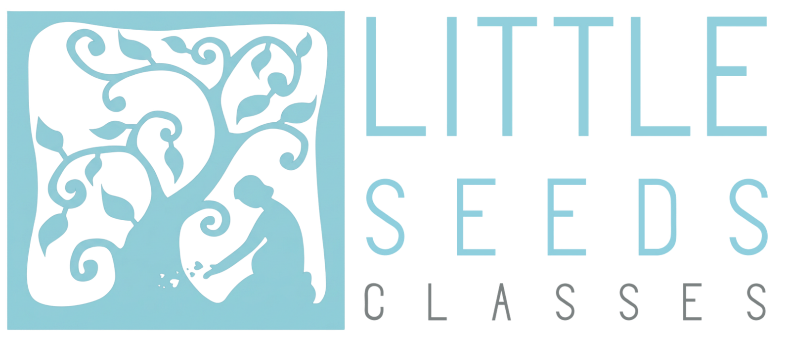 Little Seeds Classes