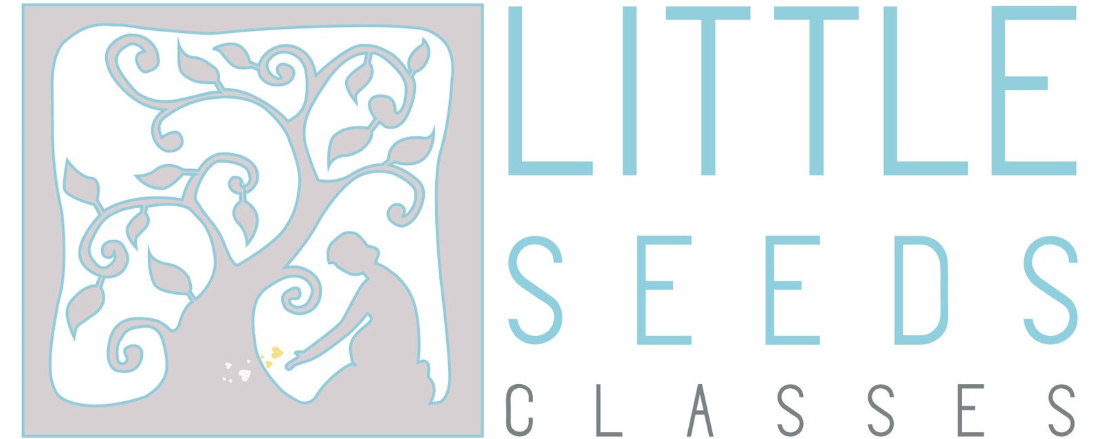 Little Seeds Classes
